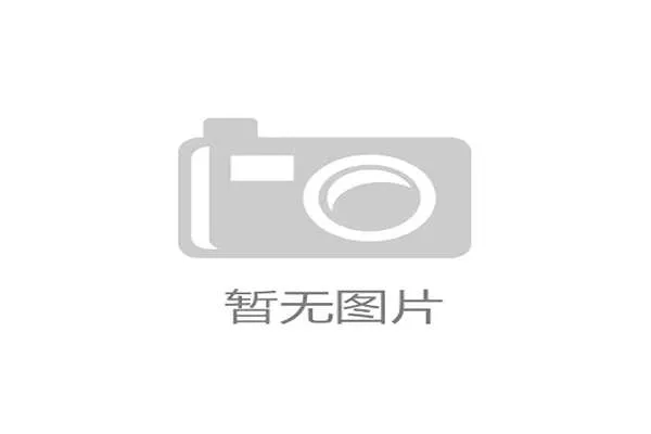 超七成入场通道核验冗余：安检协议标准化缺位致使赛事运营效率失衡